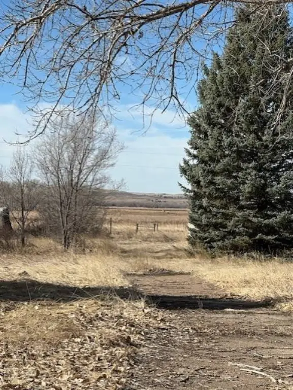 Picture 14