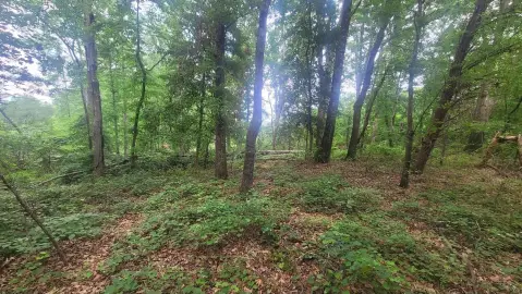 Chesnee Land with Historic Farmhouse