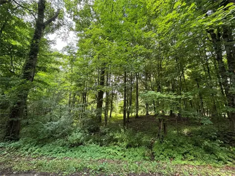 Wooded Country Lot with Road Access