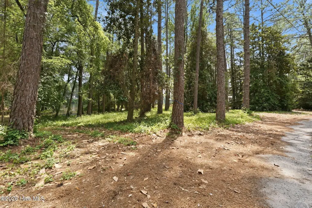 Picture 3