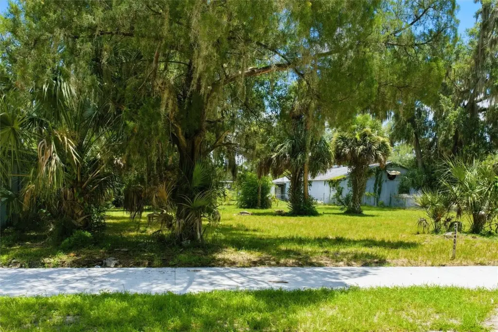 Picture 26