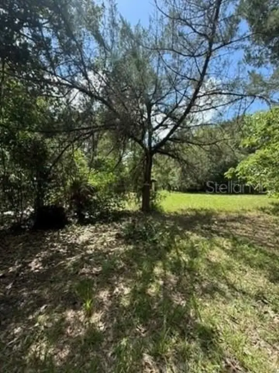 Picture 17