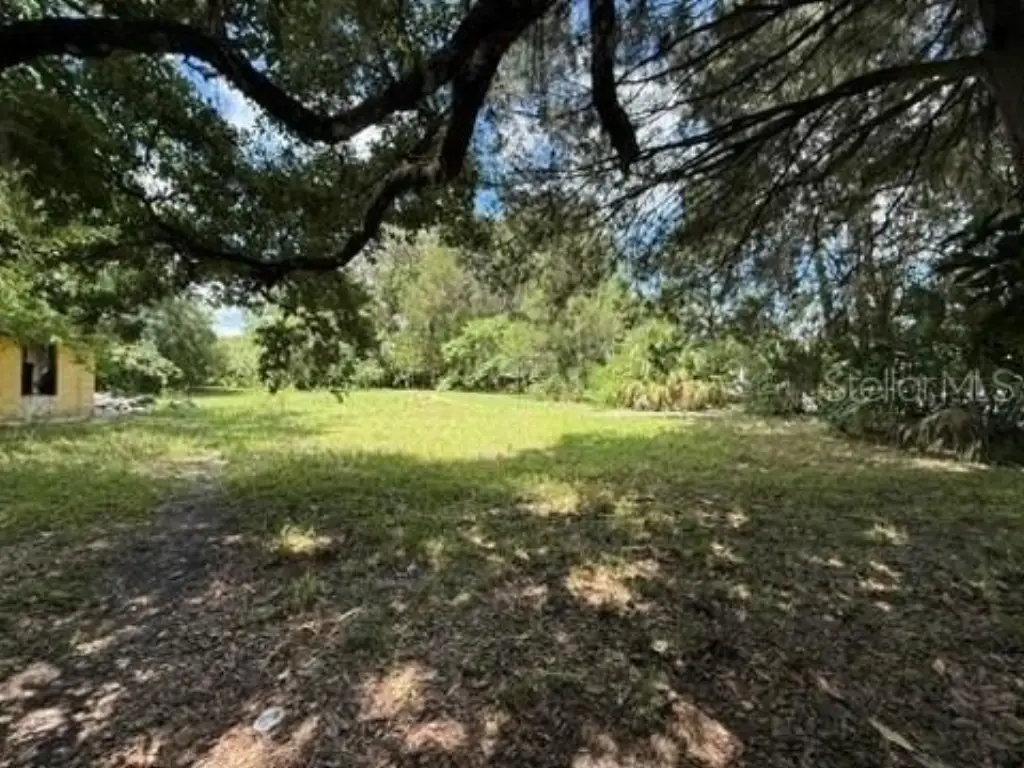 Picture 4