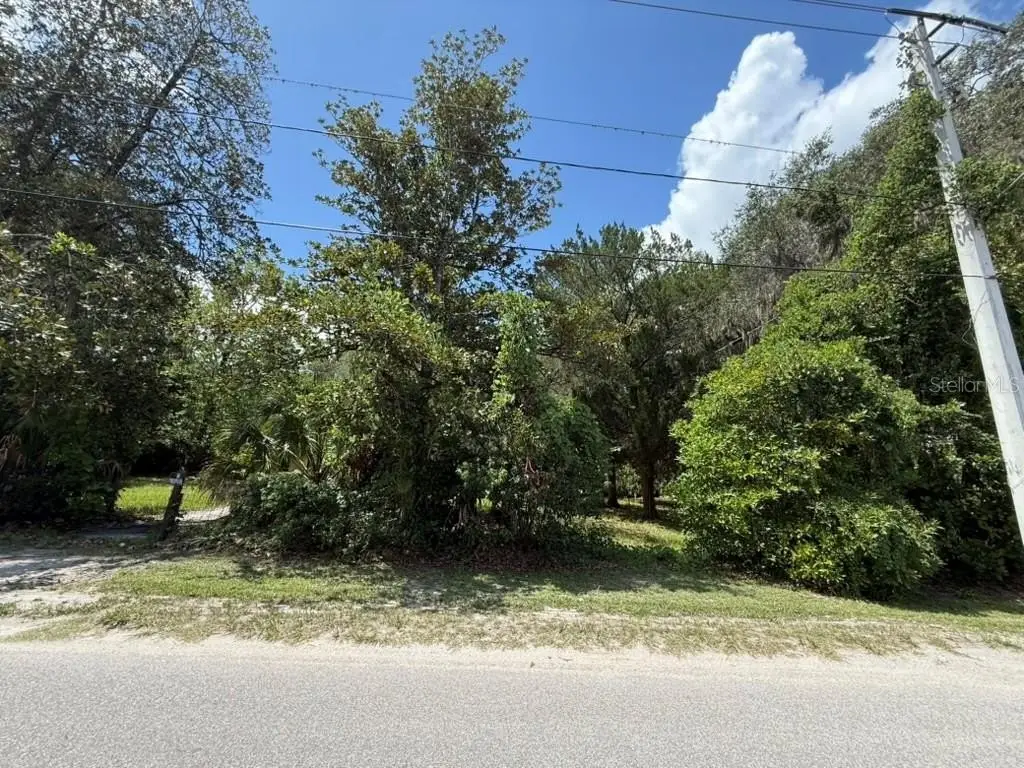 Picture 25