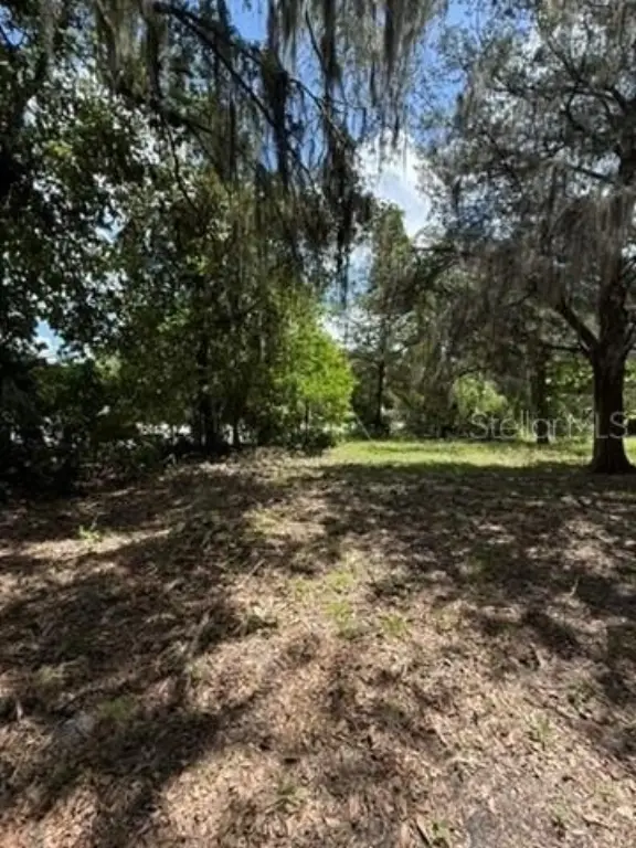 Picture 19