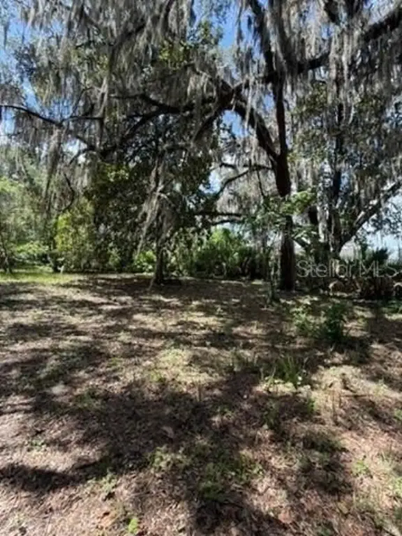 Picture 23
