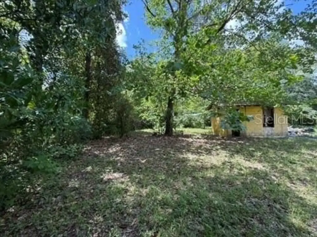 Picture 9