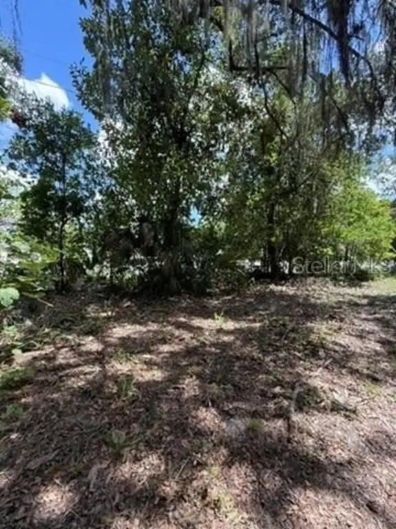 Picture 18