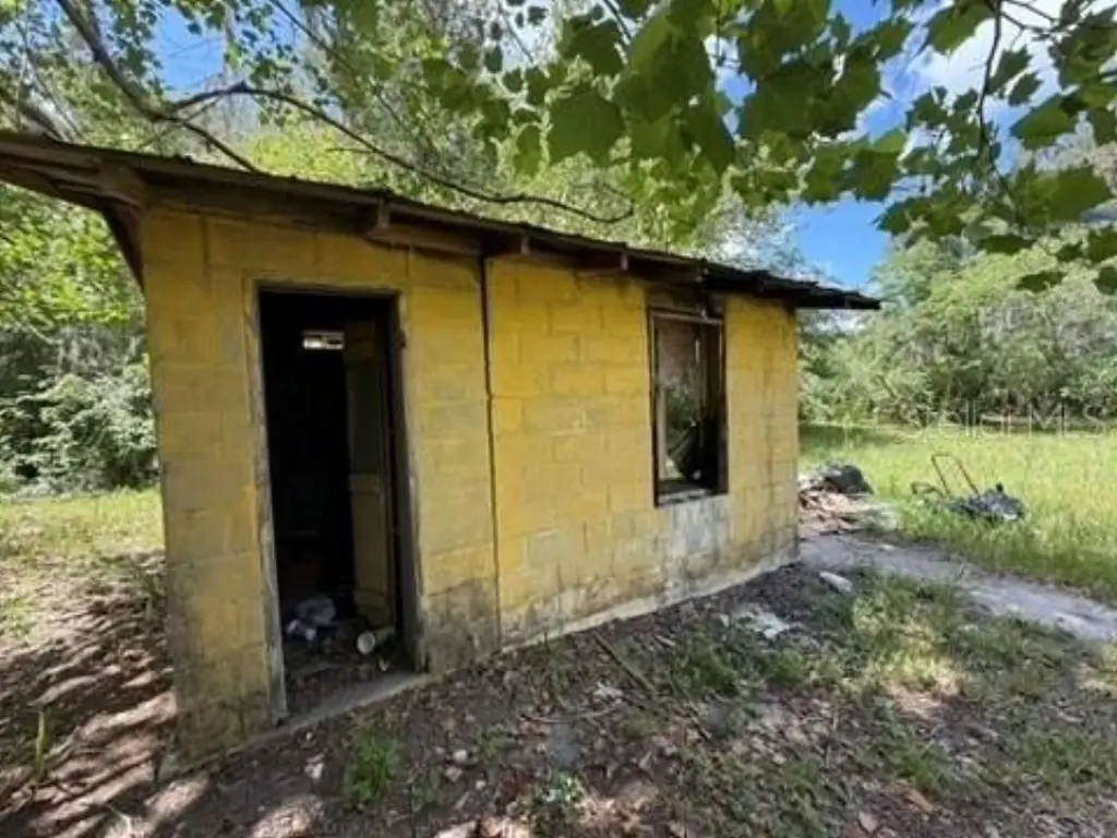 Picture 24