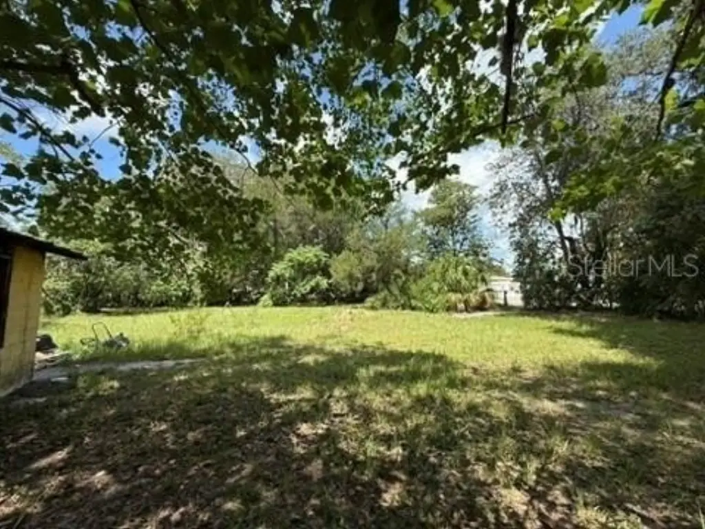 Picture 21