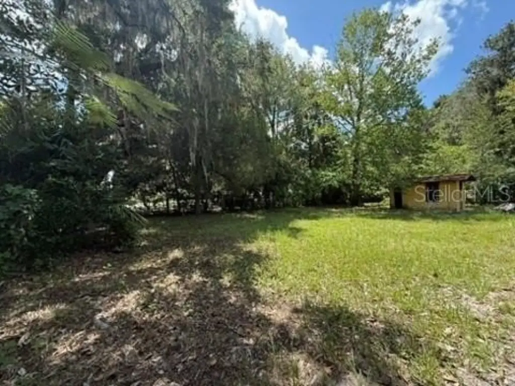 Picture 6