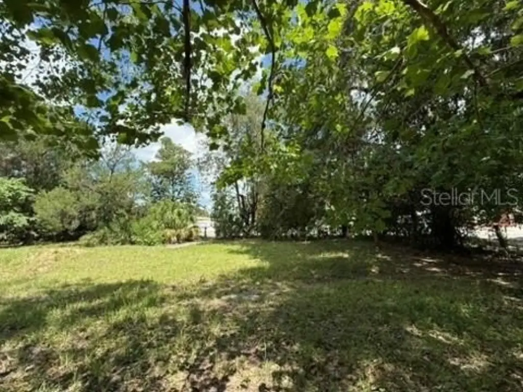Picture 3