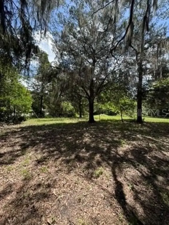 Picture 20