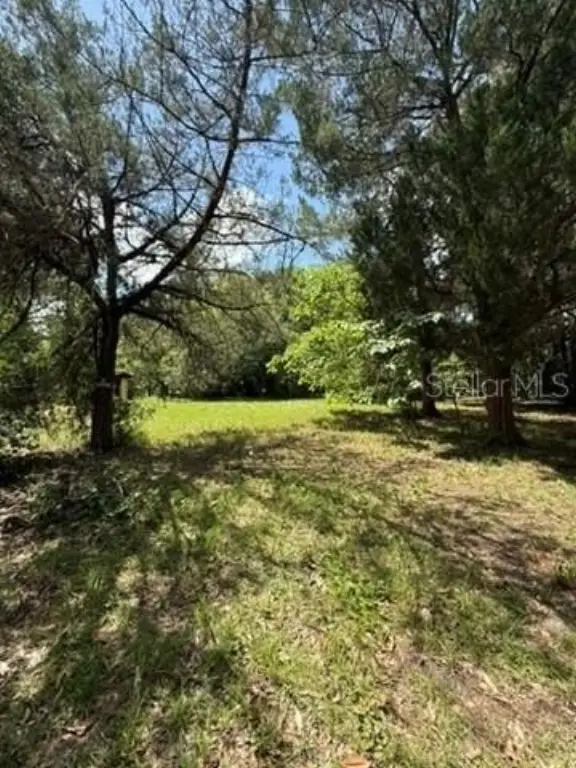 Picture 2