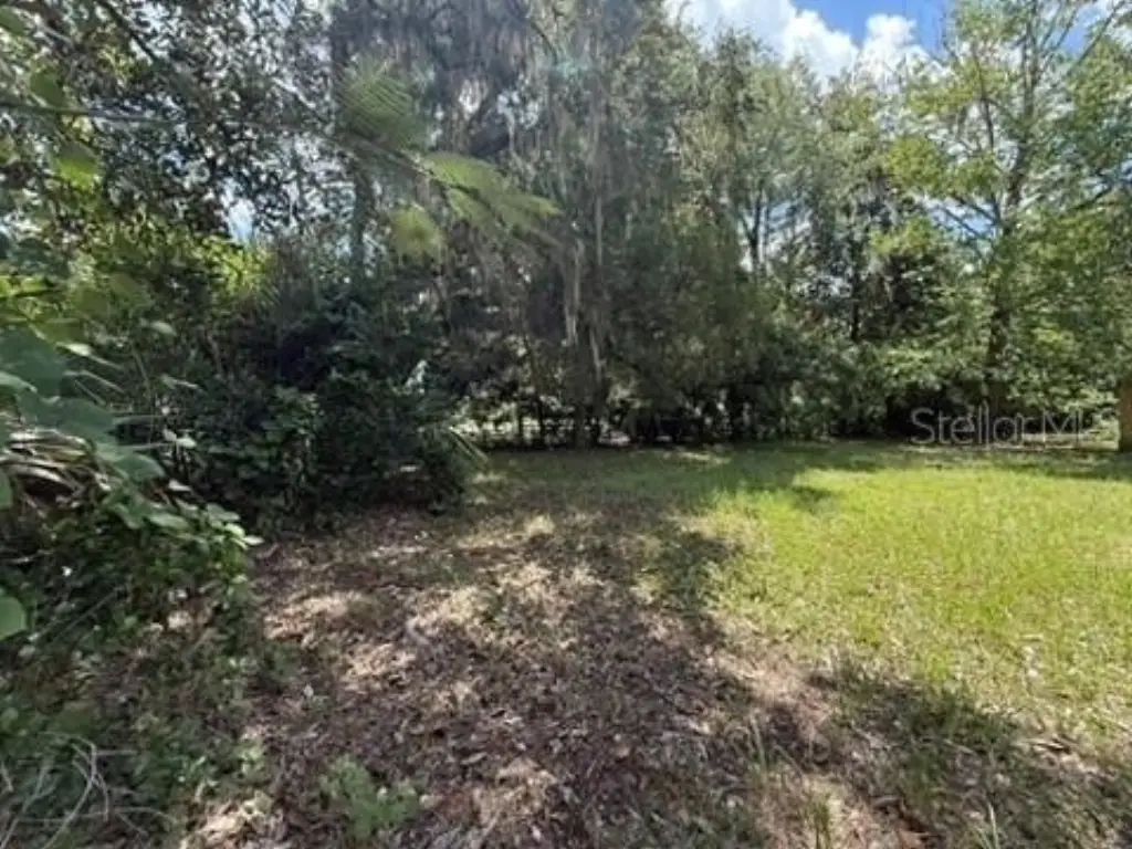 Picture 10