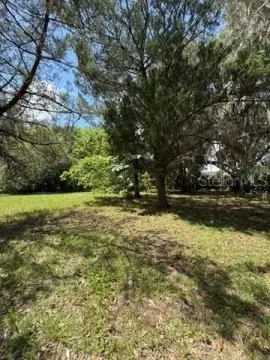 Partially Cleared Residential Lot