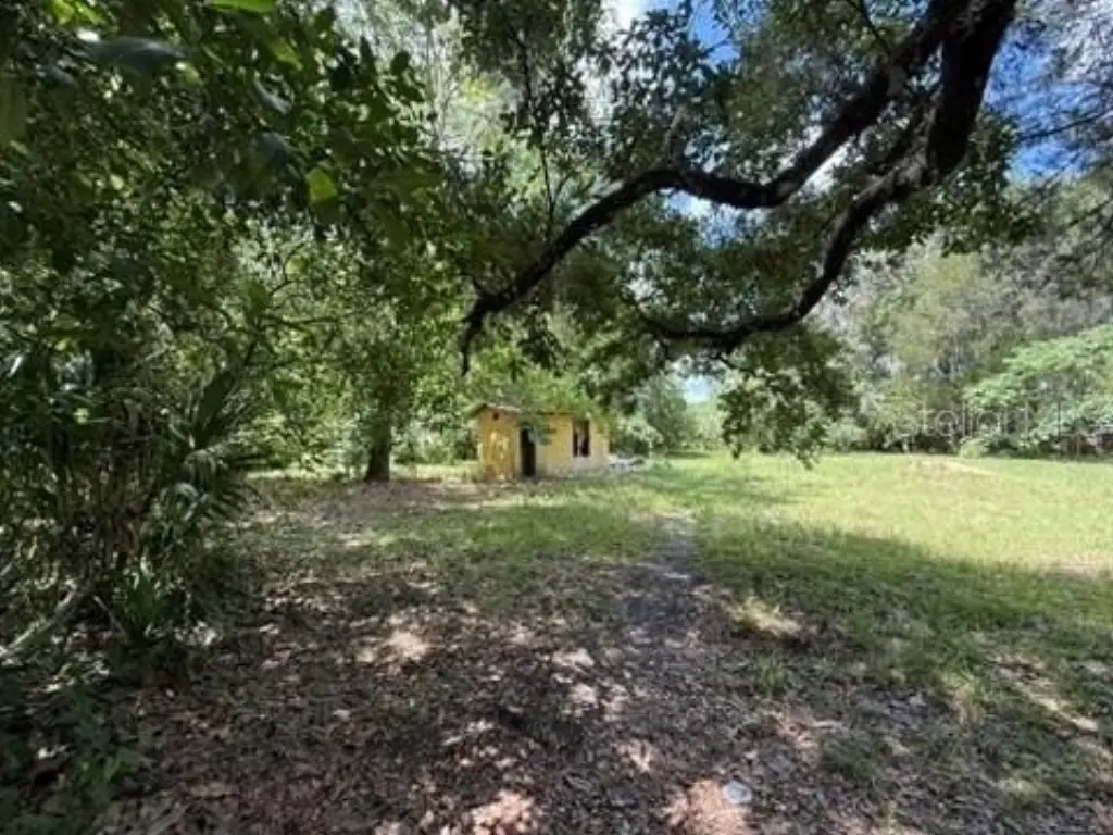 Picture 5