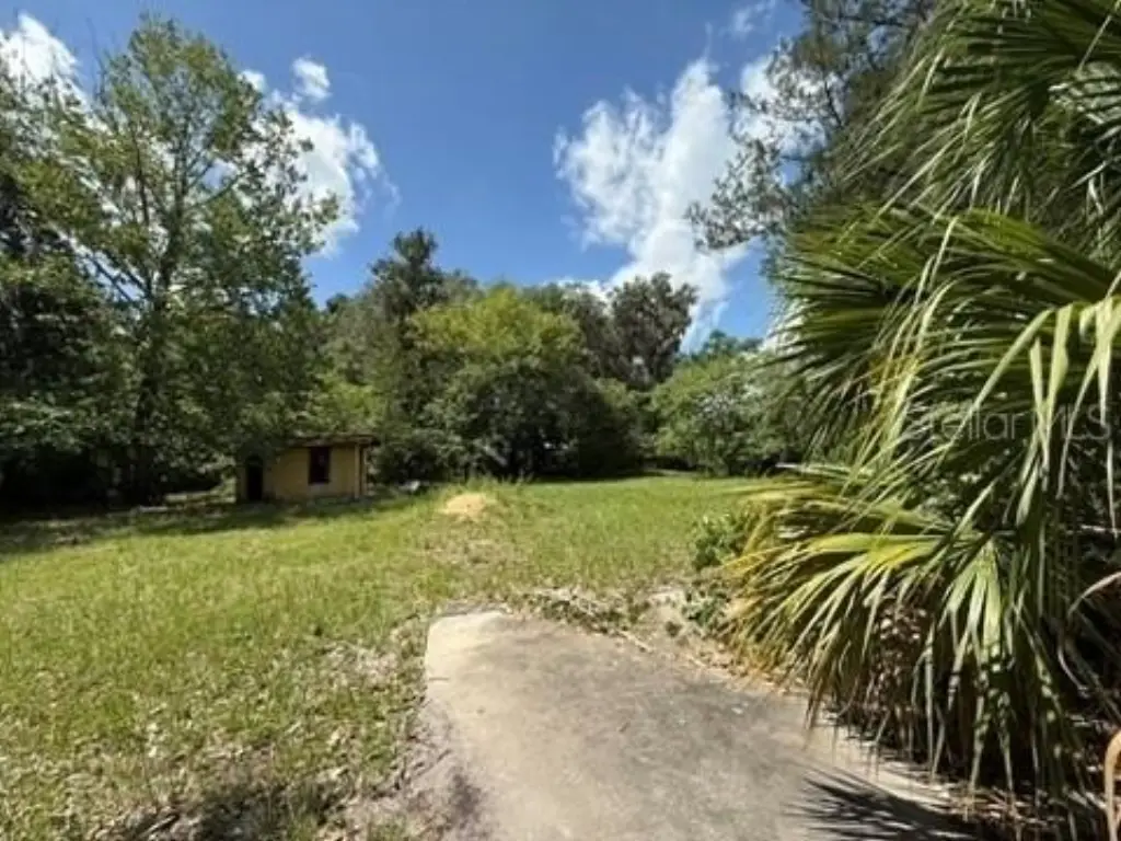Picture 15