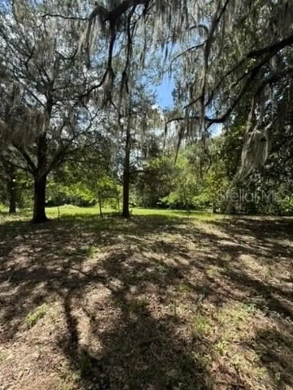 Picture 22