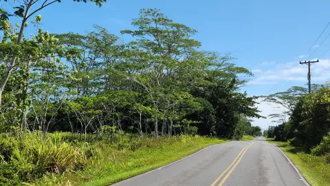 Vacant Land in Keaau, HI