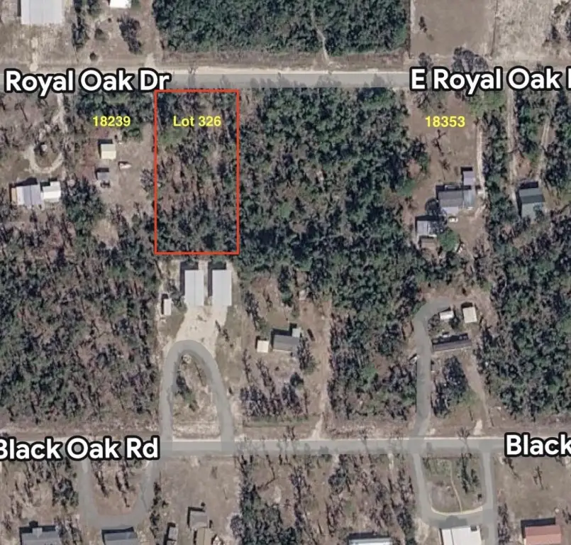 Picture 3