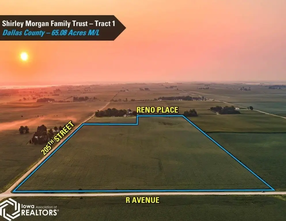 Picture 20