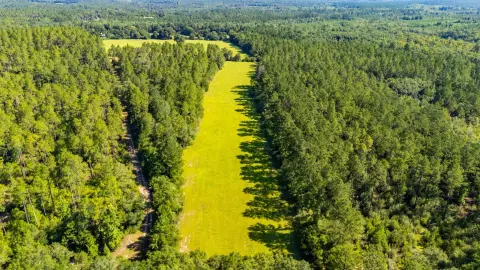 58 Acres of Agricultural Land