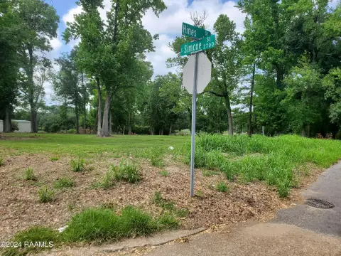 Commercial Land in Residential Area