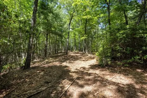 Mountain View Development Lot