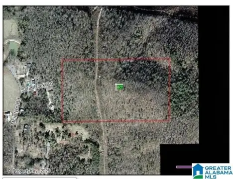25 Acres Hunting Land Retreat