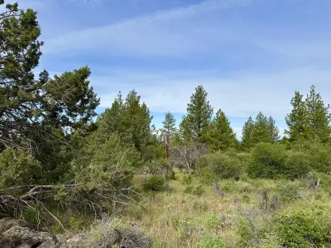 Residential Lot Backing BLM Land