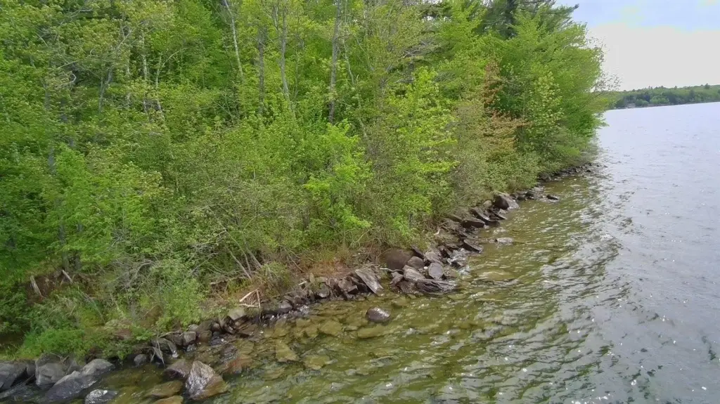 Picture 10