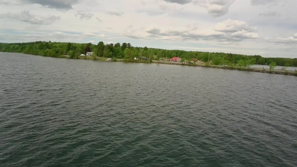 Picture 23