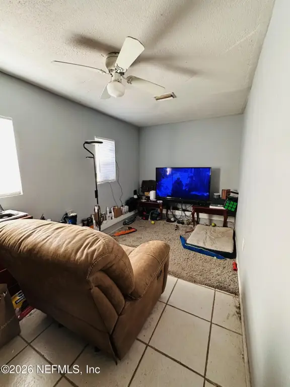 Picture 28
