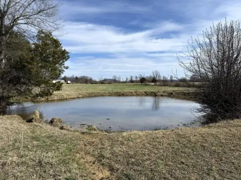 Land For Sale in Morrison