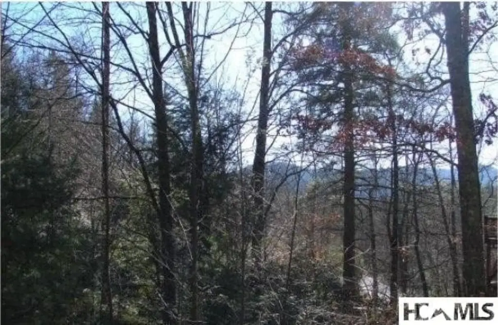 Picture 7