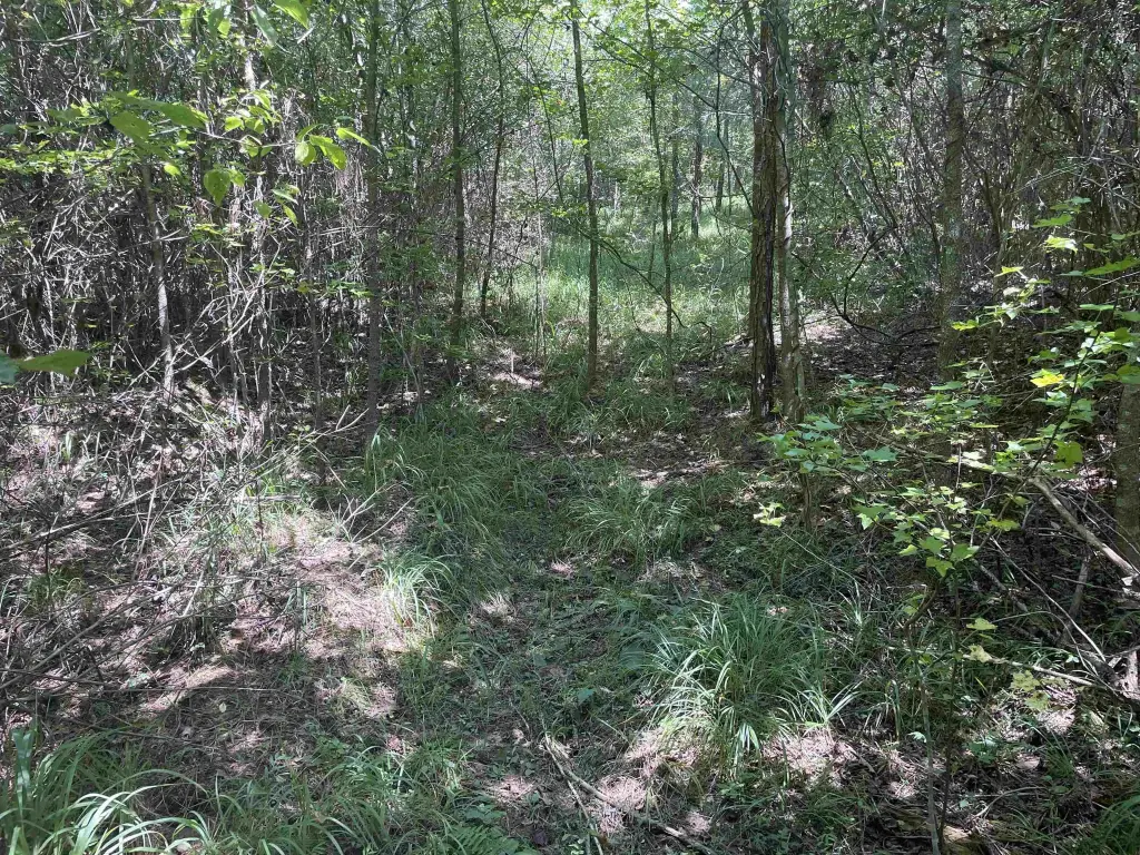 Picture 17