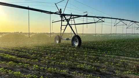 Productive 1,229-Acre Farm in Clarksville, TX