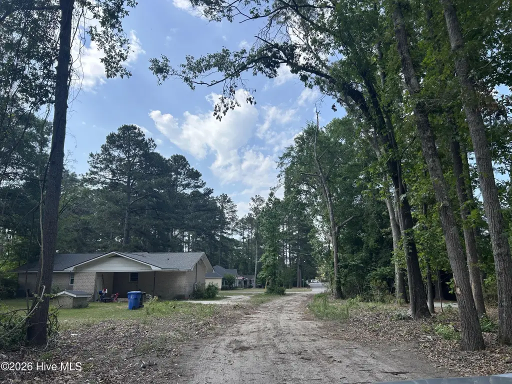 Picture 19