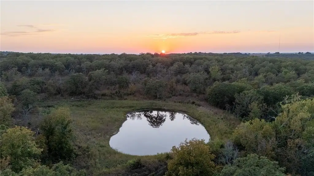 Picture 28