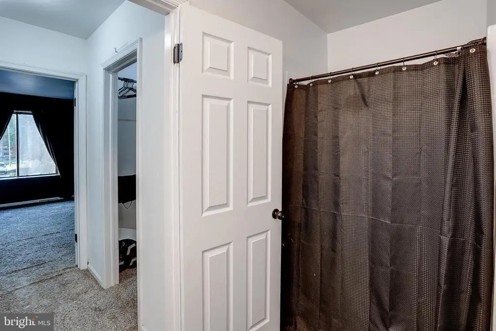 Picture 15
