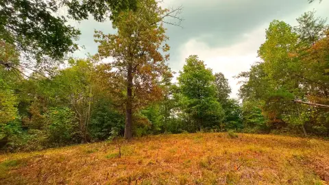 Ohio Wooded Land For Sale