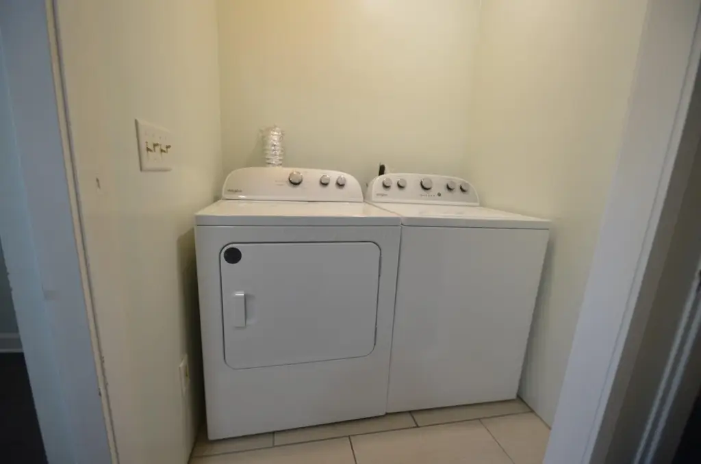 Picture 29