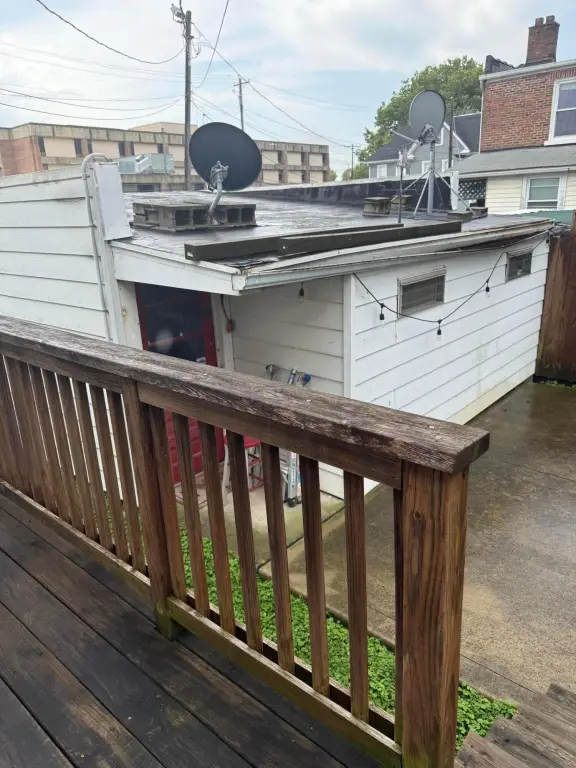 Picture 14
