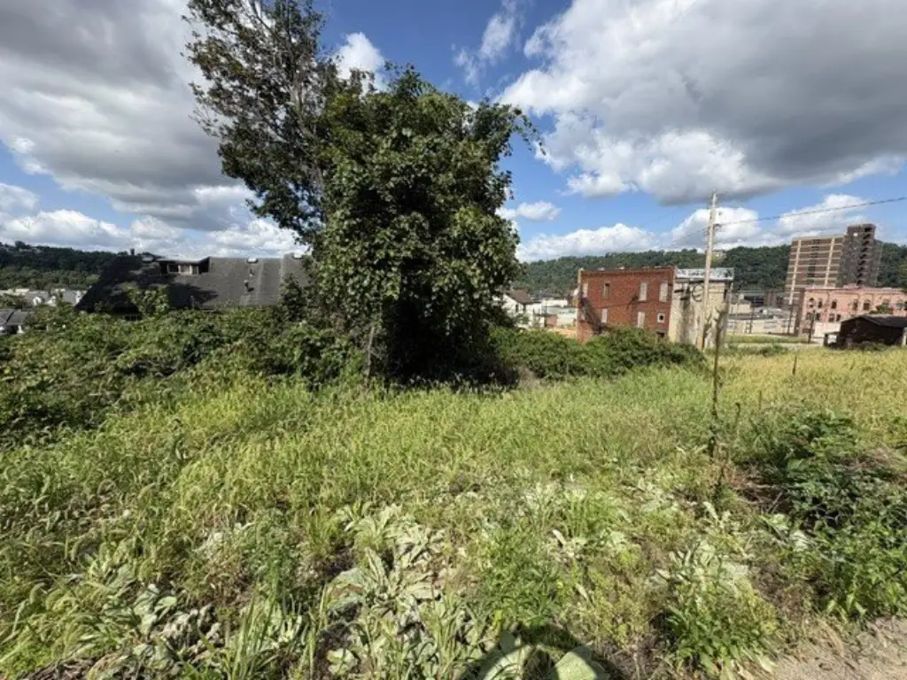 Picture 9