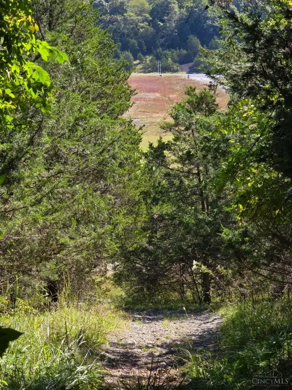 Picture 17