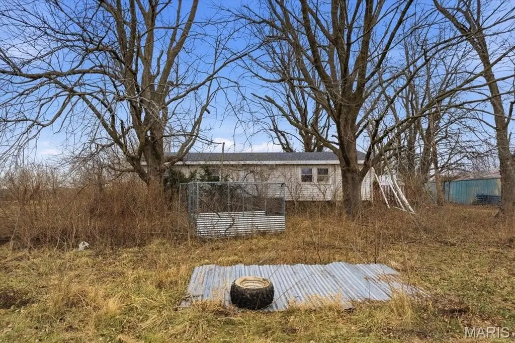 Picture 8