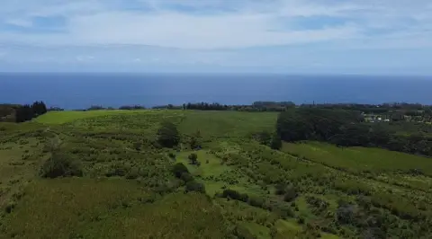 Hakalau Farm/Ranch Land For Sale