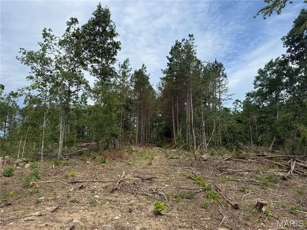 Picture 14