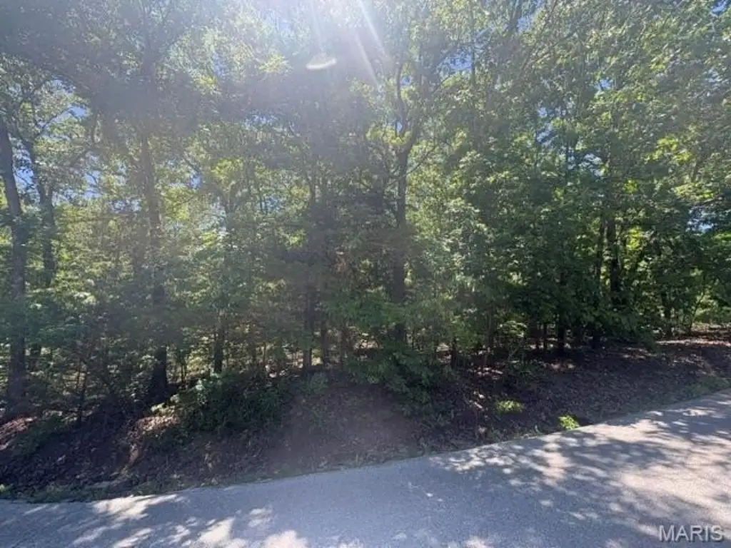 Picture 5